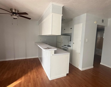 519 Branard St Street - Photo Thumbnail 2