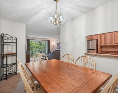 945 Juniper - Photo Thumbnail 11