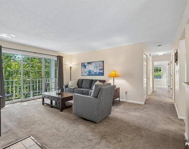 945 Juniper - Photo Thumbnail 3