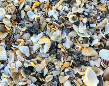 290 Paradise Boulevard - Photo Thumbnail 69