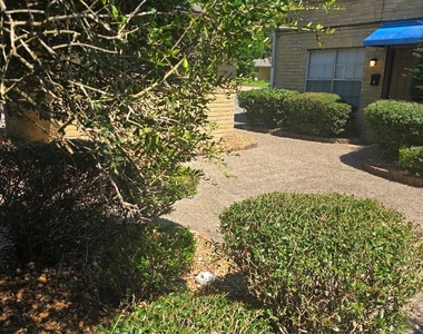 600 Hilliard Street - Photo Thumbnail 14
