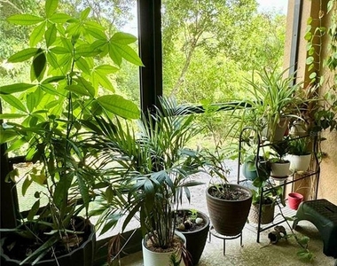 1529 Water Terrace Ln - Photo Thumbnail 35
