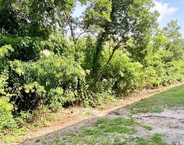 1529 Water Terrace Ln - Photo Thumbnail 34