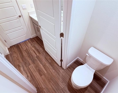 77 Myrtle Street - Photo Thumbnail 26