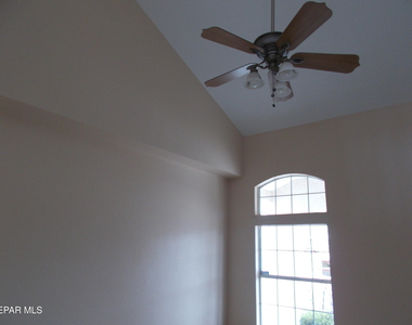 3641 Dominican Street - Photo Thumbnail 15