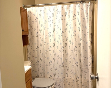 19 Goodwin Street - Photo Thumbnail 14