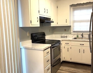 19 Goodwin Street - Photo Thumbnail 2