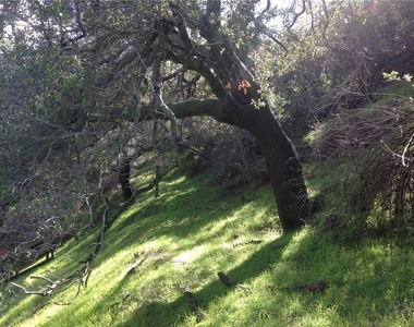 24735 Mulholland Highway - Photo Thumbnail 28