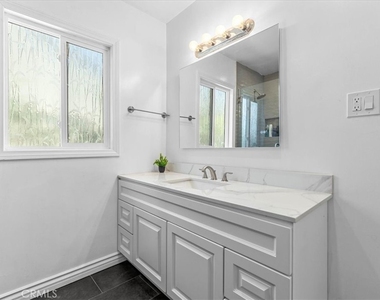 3633 Lime - Photo Thumbnail 14