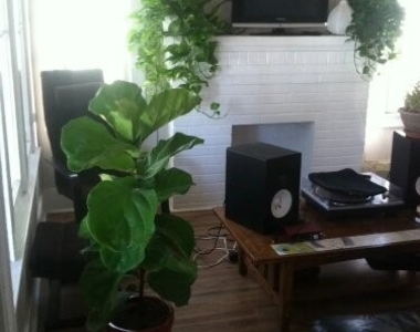 1348 W 22nd - Photo Thumbnail 6