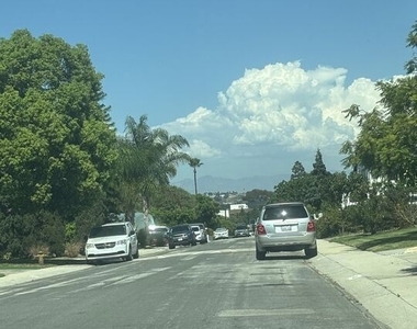 7925 Kittyhawk Avenue - Photo Thumbnail 20