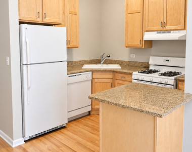 2158 W Erie Street - Photo Thumbnail 6