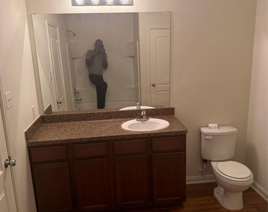 12711 Mystic Water Lane - Photo Thumbnail 11