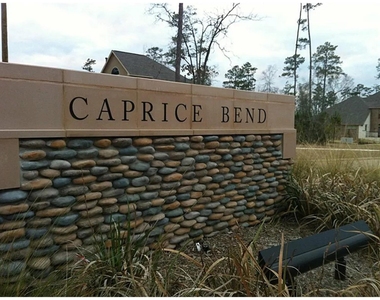 2 Caprice Bend Place - Photo Thumbnail 2