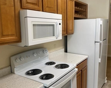 18123 Sterling Gate Circle - Photo Thumbnail 61
