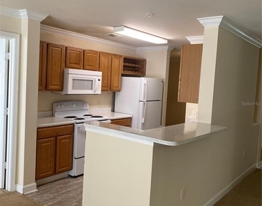 18123 Sterling Gate Circle - Photo Thumbnail 54