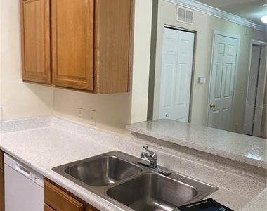 18123 Sterling Gate Circle - Photo Thumbnail 63