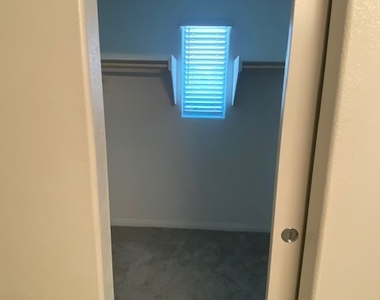 12238 Plum Mist Court - Photo Thumbnail 28