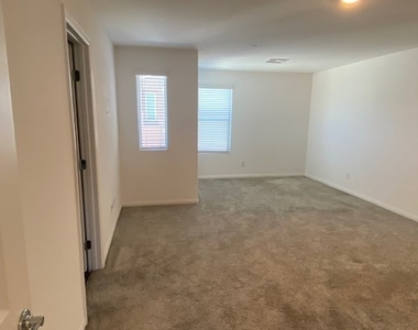 12238 Plum Mist Court - Photo Thumbnail 31
