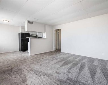 239 W Cleveland Avenue - Photo Thumbnail 18
