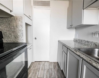 239 W Cleveland Avenue - Photo Thumbnail 4