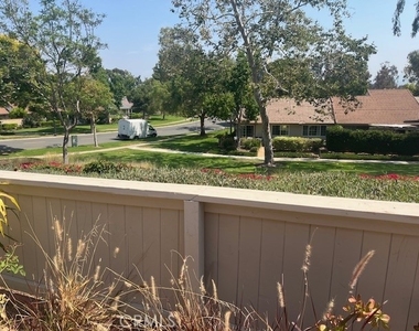5 Cashew - Photo Thumbnail 2