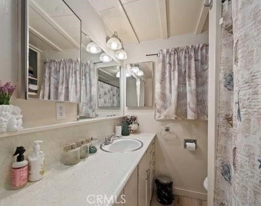 23095 Balsam - Photo Thumbnail 9