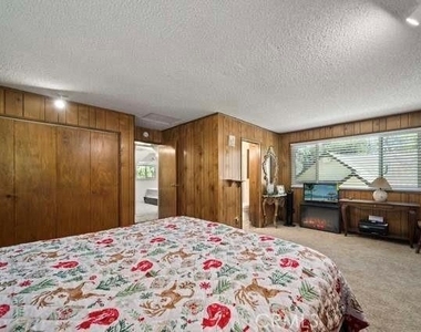 23095 Balsam - Photo Thumbnail 11