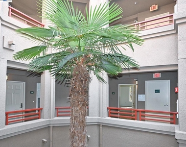 280 Caldecott Ln - Photo Thumbnail 1
