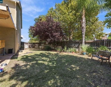 204 Millbrook Dr - Photo Thumbnail 24