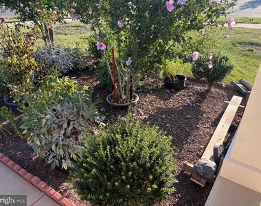 7546 Mint Springs Court - Photo Thumbnail 48