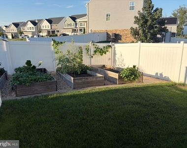 7546 Mint Springs Court - Photo Thumbnail 38