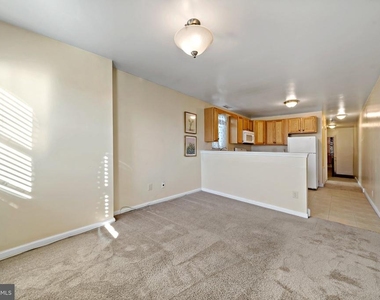 1942 Wolf Street - Photo Thumbnail 2