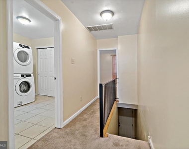 1942 Wolf Street - Photo Thumbnail 6