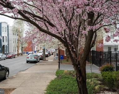138 E Antietam Street - Photo Thumbnail 6