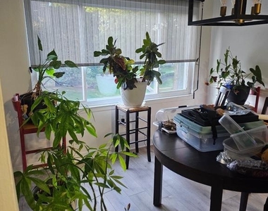 440 Girard Street - Photo Thumbnail 4