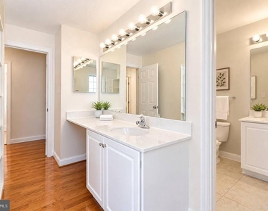 12303 Milestone Manor Lane - Photo Thumbnail 49