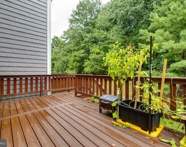 7717 Heatherside Lane - Photo Thumbnail 19