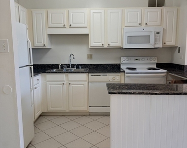 211 E Ohio Street - Photo Thumbnail 12