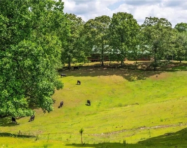 3806 Ball Ground Road - Photo Thumbnail 4