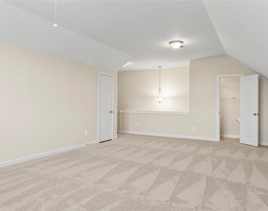 4503 Green Forest Pass - Photo Thumbnail 22