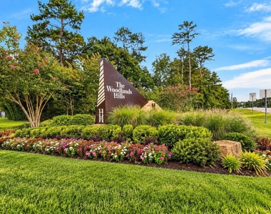 607 Spotted Sunfish Drive - Photo Thumbnail 34