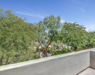 20802 N Grayhawk Drive - Photo Thumbnail 18
