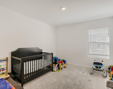 1619 Grassy Pond Road - Photo Thumbnail 20