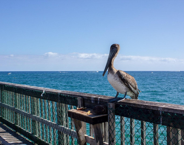 1370 S Ocean Boulevard - Photo Thumbnail 36
