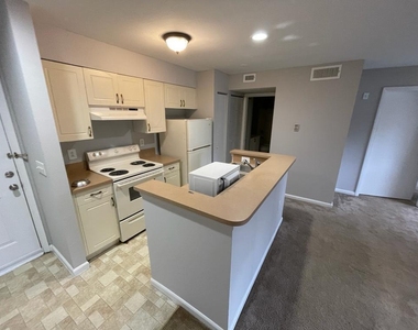 4783 Via Palm Lakes - Photo Thumbnail 3