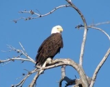 156 Sw Peacock Boulevard - Photo Thumbnail 75