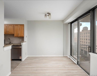 15 Stewart Place - Photo Thumbnail 12