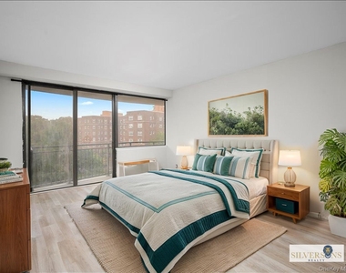 15 Stewart Place - Photo Thumbnail 20
