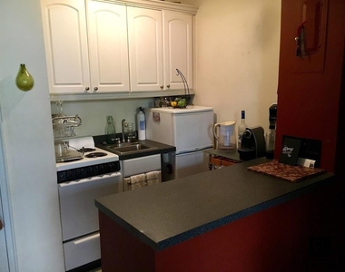420 W 46th Street - Photo Thumbnail 6